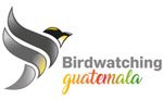 Logo Birdwatching Guatemala