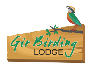 Gir Birding Lodge