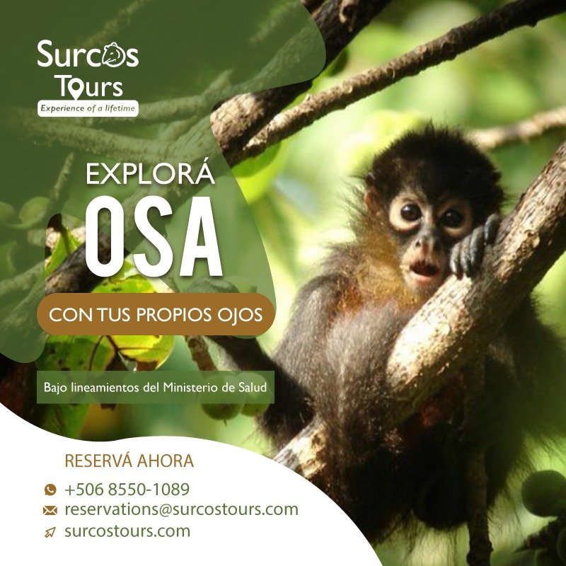 Explora Osa Surcos Tours